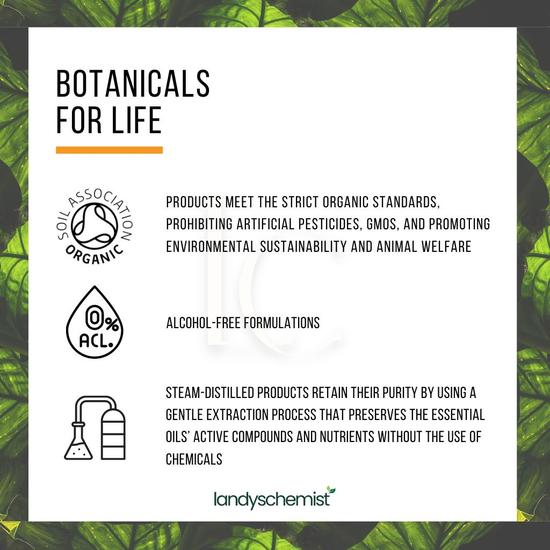 Botanicals4Life Botanicals For Life Organic Milk Thistle Extract 50ml