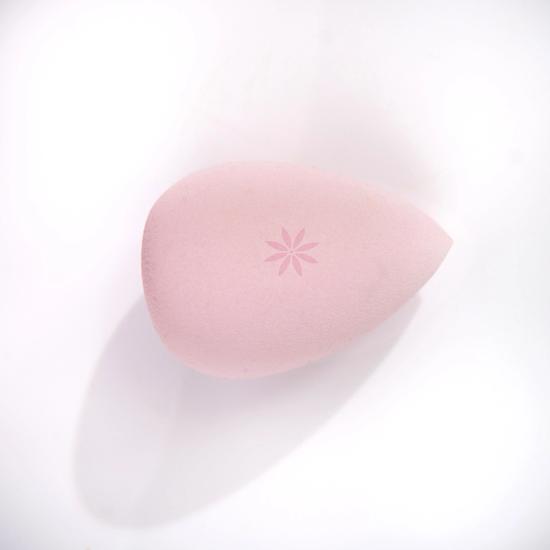 Brushworks Complexion Sponge