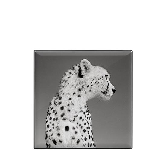 Chantecaille Luminescent Eye Cheetah