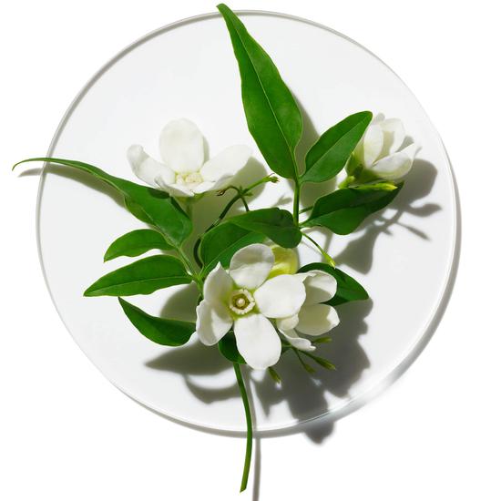 Clinique My Happy Peace & Jasmine Eau De Parfum 15ml