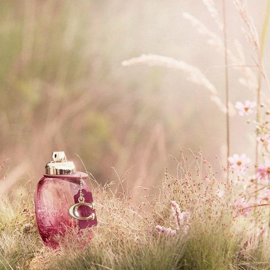 Coach Wild Rose Eau De Parfum 30ml