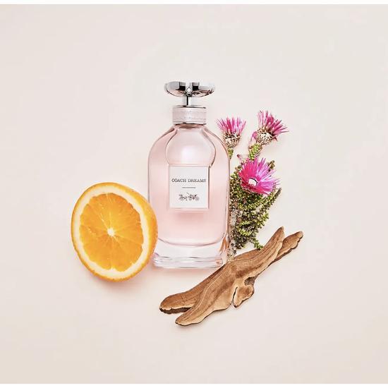 Coach Women's Dreams Eau De Parfum 40ml