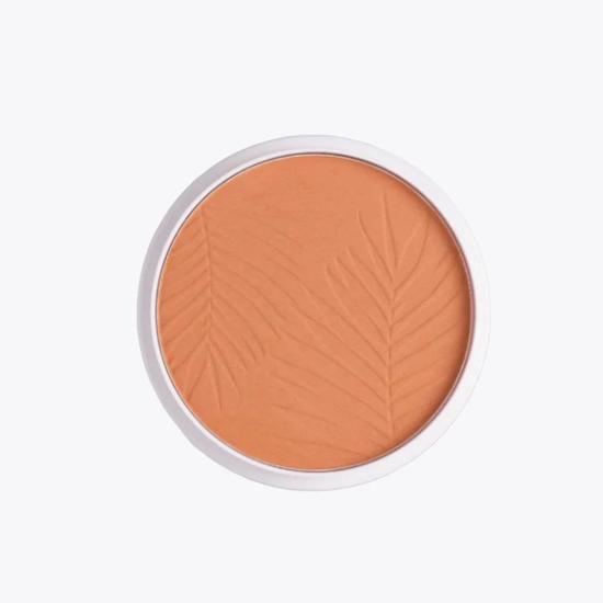 Collection Bronze Glow Matte Powder-Light Terracotta Dark Terracotta