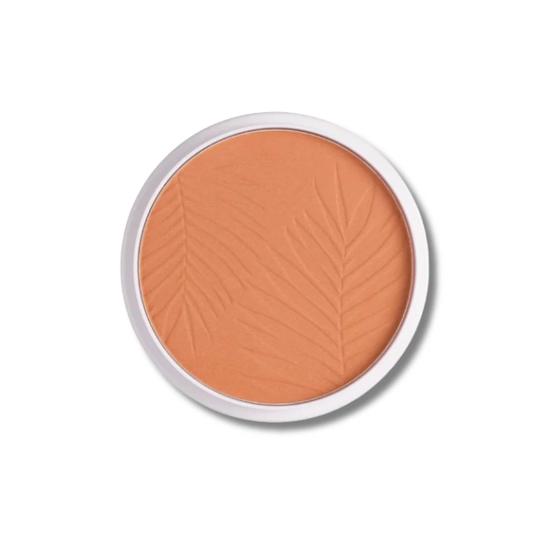 Collection Bronze Glow Shimmer Bronzer Light