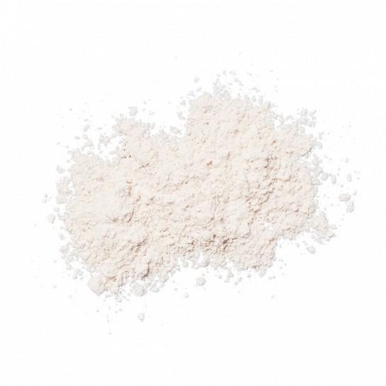 Colorescience Sunforgettable Total Protection Sheer Matte Sunscreen Brush SPF 30