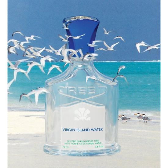 Creed Virgin Island Water Eau De Parfum 100ml