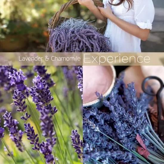 Cuccio Lavender & Chamomile Butter Blend 226g