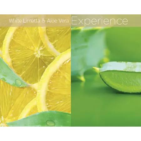Cuccio Revitalising Nail & Cuticle Oil Complex 15ml White Limetta & Aloe Vera
