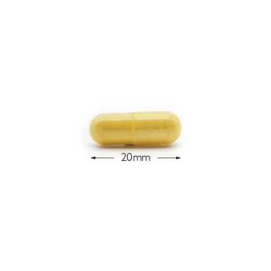 Cytoplan Aller G Formula Capsules 60 Capsules