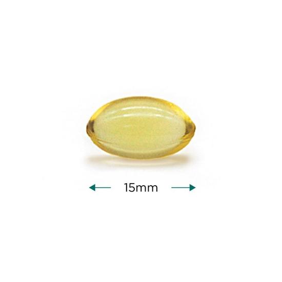 Cytoplan Blackcurrant Seed Oil Caspules 60
