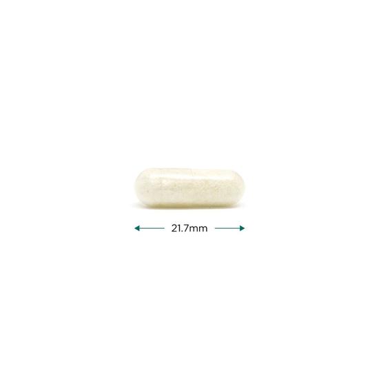 Cytoplan Cyto-Zyme Digestive Enzyme 545mg Capsules 60 Capsules