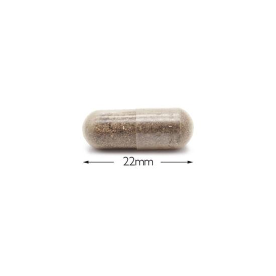 Cytoplan CytoProtect Kidneys Capsules 60 Capsules