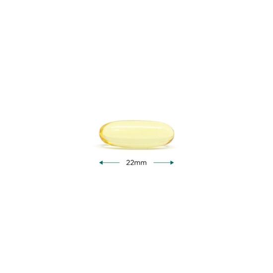 Cytoplan Fish Oil High Potency Omega 3 EPA/DHA Capsules 60 Capsules