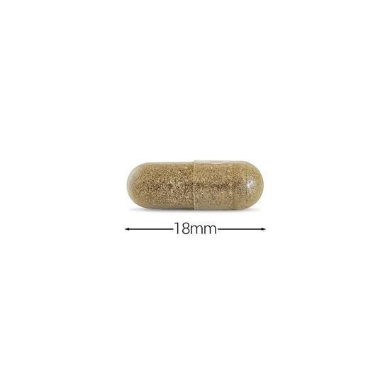 Cytoplan Gymnema Sylvestre Capsules 60 Capsules