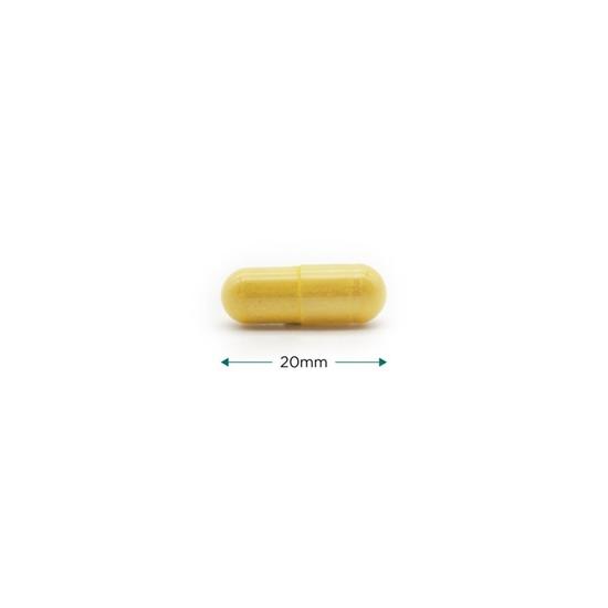 Cytoplan Immune Complete Capsules 60 Capsules