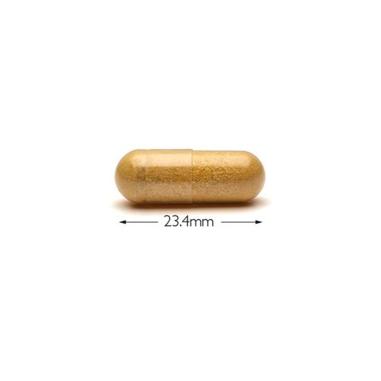 Cytoplan Male Fertility Capsules 90 Capsules
