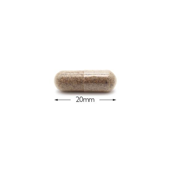 Cytoplan Organic Milk Thistle Capsules 60 Capsules