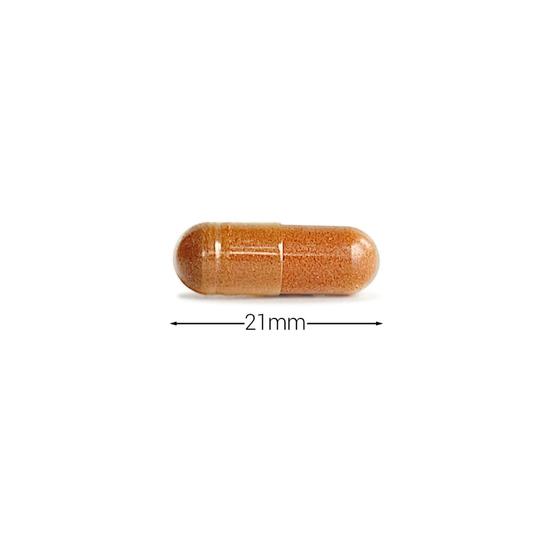 Cytoplan Phytoshield Phyto-Antioxidant Capsules 60 Capsules