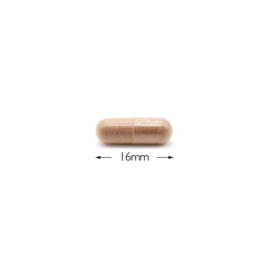 Cytoplan Rhodiola 250mg Capsules 60 Capsules