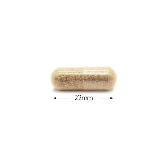 Cytoplan Skin Food Complex Capsules 60 Capsules