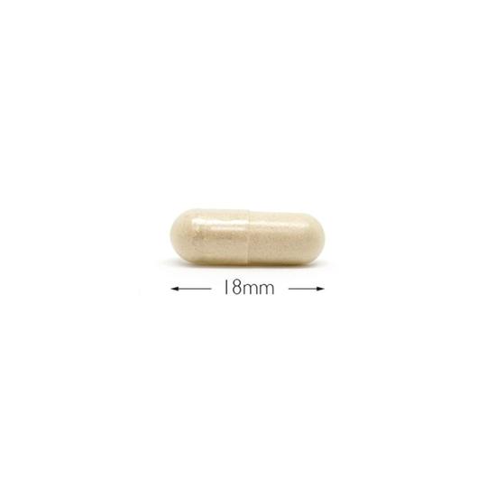 Cytoplan Slippery Elm Wholefood 230mg Capsules 60 Capsules