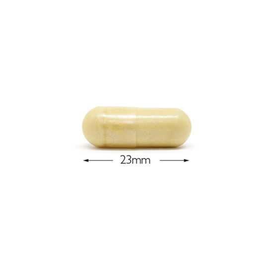 Cytoplan Vegan Collagen Capsules 120 Capsules