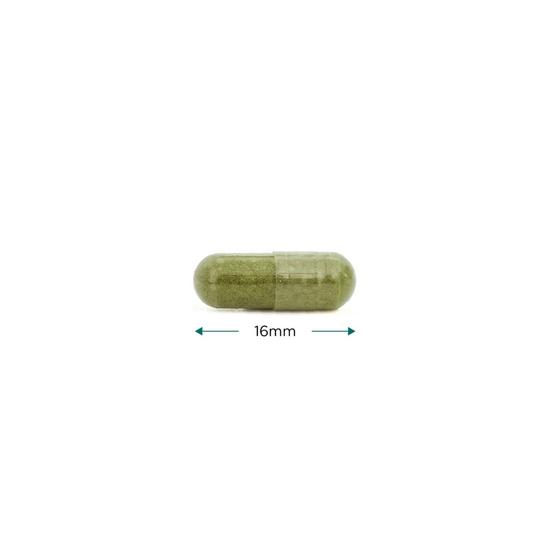 Cytoplan Zinc Wholefood 10mg Elemental Capsules 60 Capsules