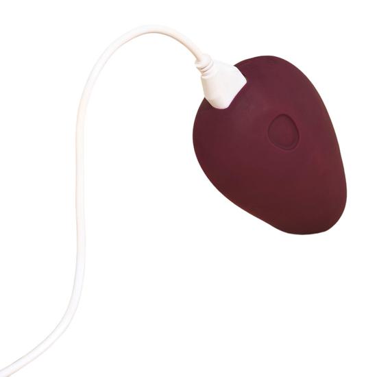 Dame Pom Flexible Vibrator