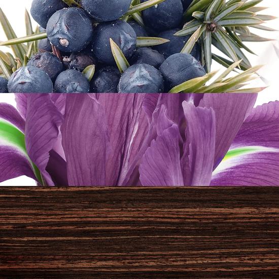 Davidoff The Game Eau De Toilette 60ml