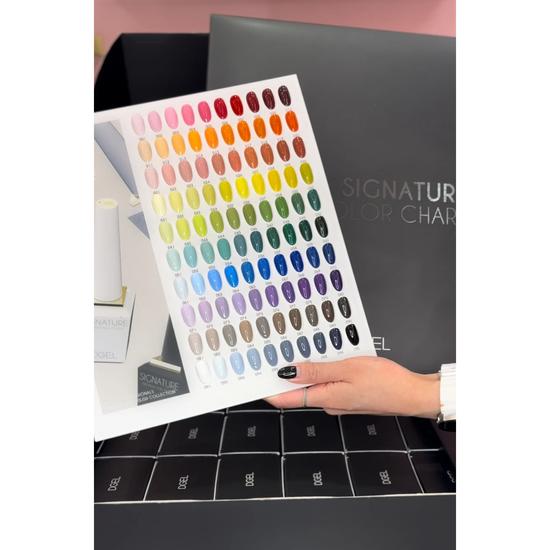 DGel Signature Colour Gel- 100 Colours Full Set