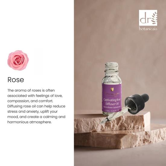 Dr Botanicals Captivating Rose Diffuser Oil Twin Value Savings Pack 10ml