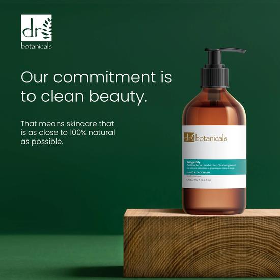 Dr Botanicals Gingerlily Hand & Face Cleansing Wash Twin Value Savings Pack 500ml