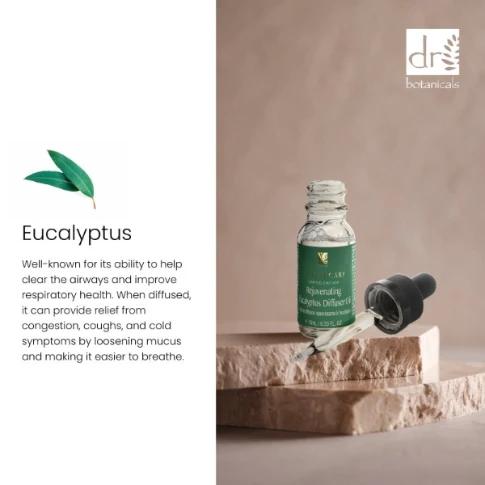 Dr Botanicals Rejuvenating Eucalyptus Diffuser Kit