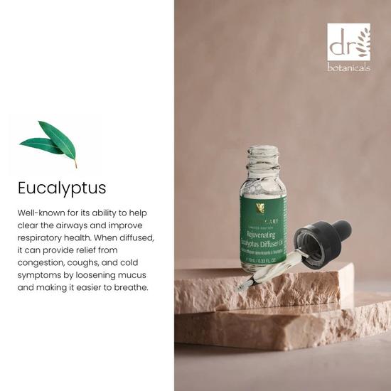 Dr Botanicals Rejuvenating Eucalyptus Diffuser Oil Twin Value Savings Pack 10ml