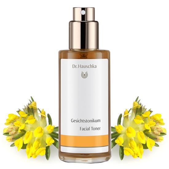 Dr Hauschka Rose Day Cream Light Set