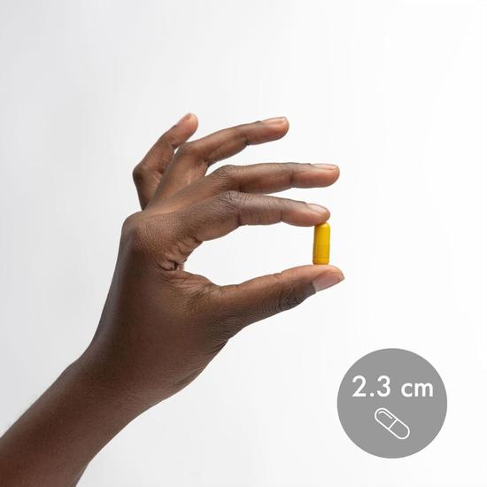 Dr. Mercola Curcumin Advanced Capsules 30 Capsules