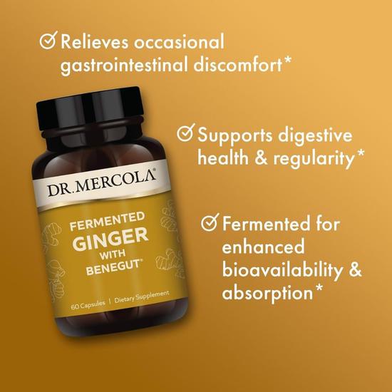 Dr. Mercola Fermented Ginger With Benegut Capsules 60 Capsules