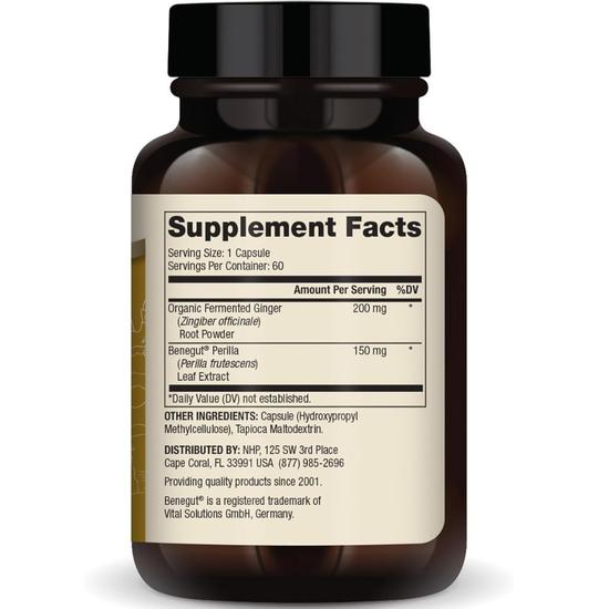 Dr. Mercola Fermented Ginger With Benegut Capsules 60 Capsules