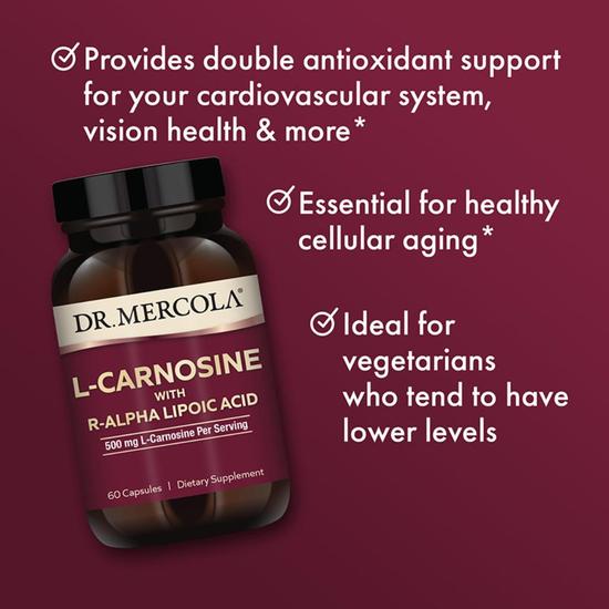 Dr. Mercola L-Carnosine With R-ALA Capsules 60 Capsules