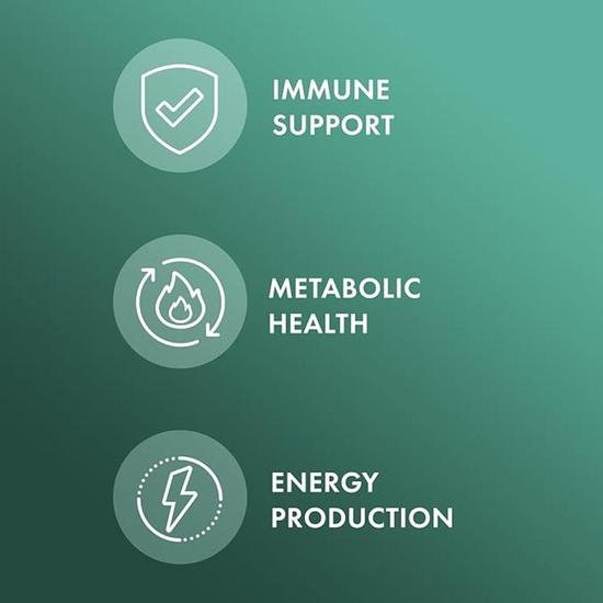 Dr. Mercola L-Lysine Capsules 90 Capsules