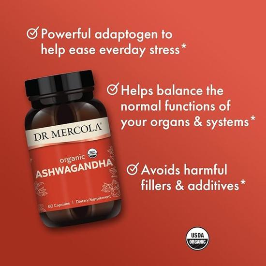 Dr. Mercola Organic Ashwagandha Capsules 60 Capsules