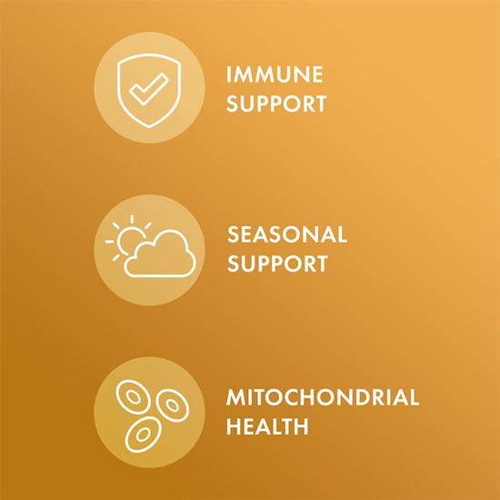 Dr. Mercola Organic Bee Propolis Capsules 30 Capsules