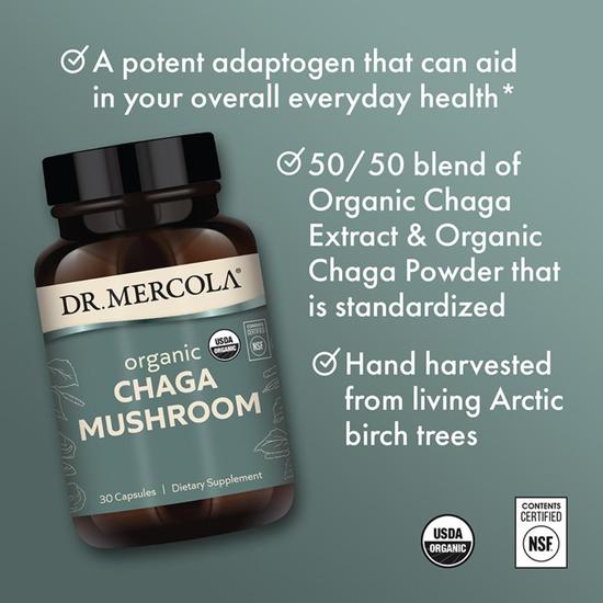 Dr. Mercola Organic Chaga Mushroom Capsules 30 Capsules