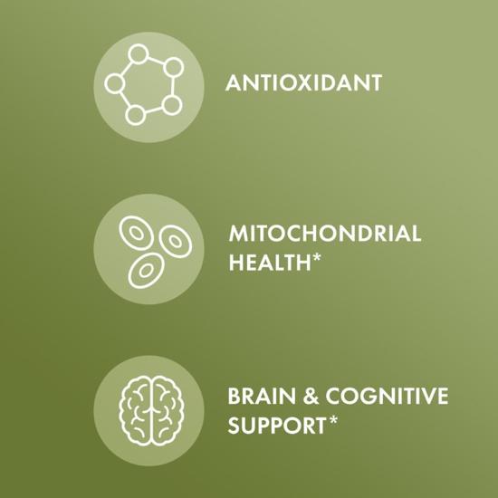Dr. Mercola Organic Ginkgo Biloba With NeuroFactor Capsules 30 Capsules