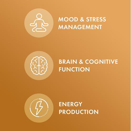 Dr. Mercola Organic Maca Capsules 60 Capsules