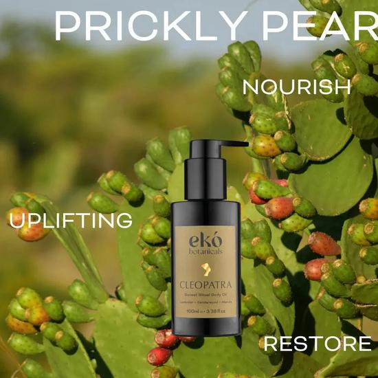 EKO BOTANICALS Botanical-Retinol Body Oil CLEOPATRA SUNRISE