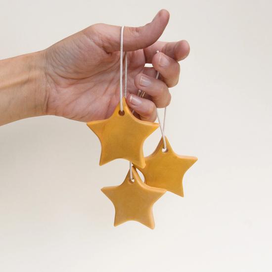 Fais Warm Spice Scented Tree Ornaments & Wax Melts Set
