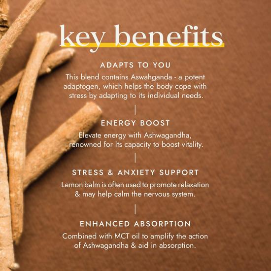 Fushi Herbal & Vitamin Blends Ashwagandha With Vegan MCT Extract 60 Capsules