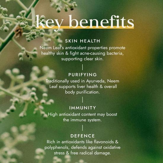 Fushi Single Herb Supplements Organic Neem Leaf x 60 Capsules