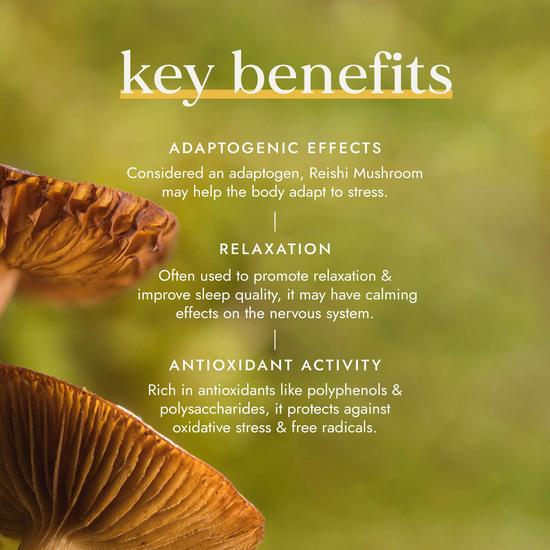 Fushi Single Herb Supplements Organic Reishi Mushroom 60 Capsules